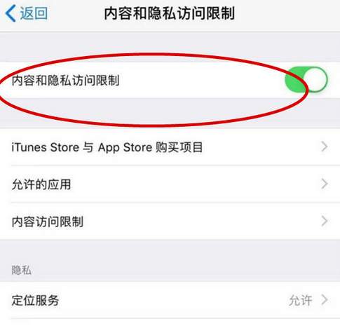 吉阳苹果15Pro预约维修分享苹果iPhone15Pro如何设置应用加密 