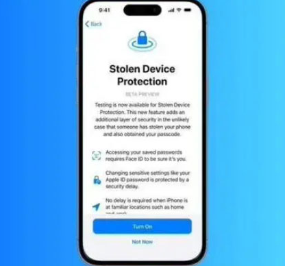 吉阳苹果授权维修店分享被盗设备保护功能开启方法 