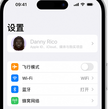 吉阳appleID维修服务iPhone设置中Apple ID显示为灰色无法使用 