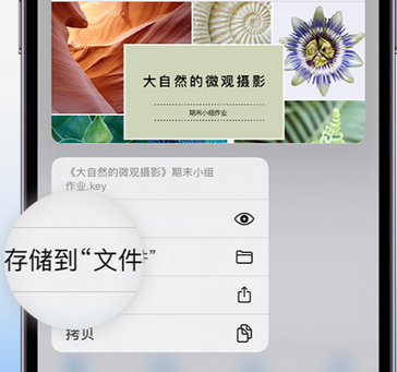 吉阳apple维修中心分享iPhone文件应用中存储和找到下载文件