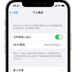 吉阳apple服务站点分享iPhone上个人热点丢失了怎么办 