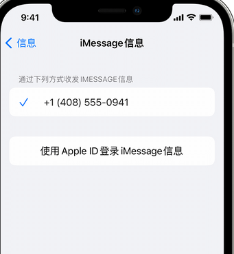 吉阳apple维修iPhone上无法正常发送iMessage信息 