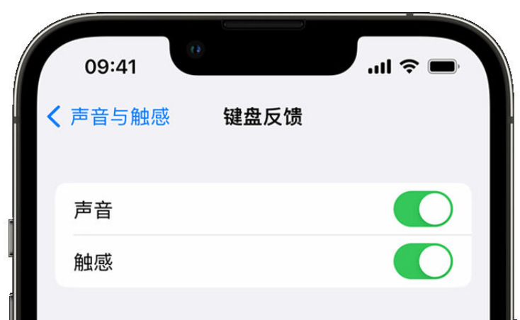 吉阳苹果手机维修分享iPhone 14触感键盘使用方法 