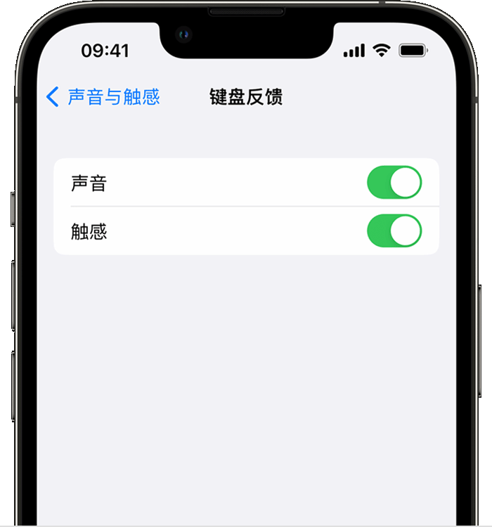 吉阳苹果14维修店分享如何在 iPhone 14 机型中使用触感键盘 