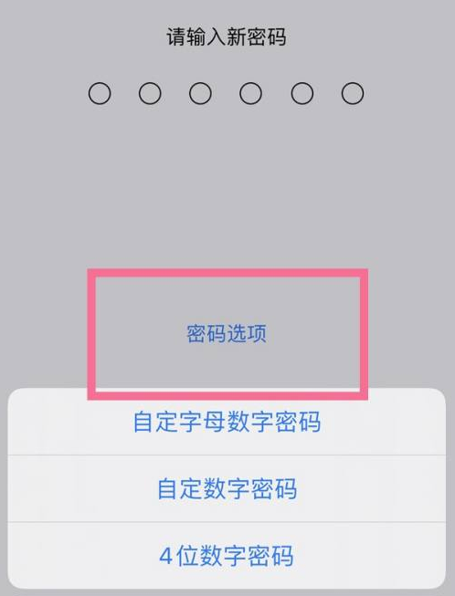 吉阳苹果14维修分享iPhone 14plus设置密码的方法 