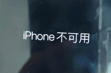 吉阳苹果服务网点分享锁屏界面显示“iPhone 不可用”如何解决 