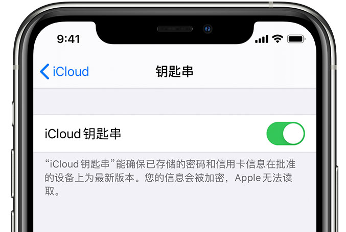 吉阳苹果手机维修分享在 iPhone 上开启 iCloud 钥匙串之后会储存哪些信息 