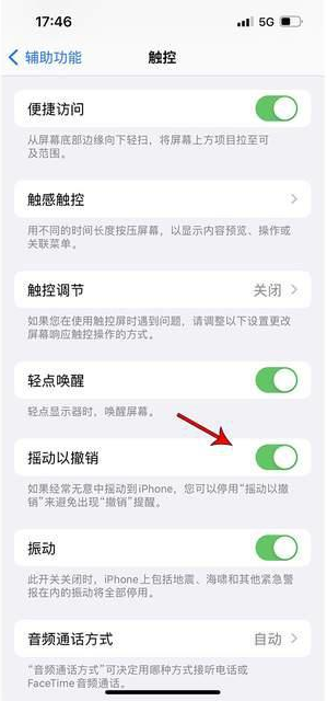 吉阳苹果手机维修分享iPhone手机如何设置摇一摇删除文字 