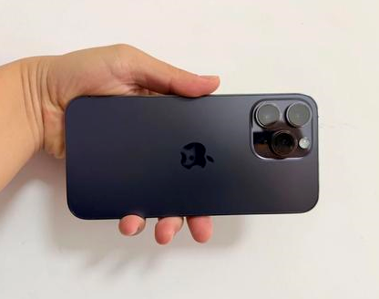 吉阳苹果维修点分享iPhone 14 Pro Max发烫多重诱因剖析 